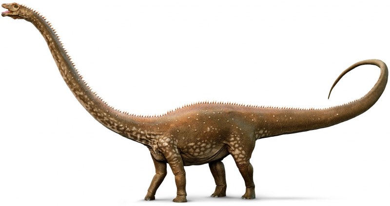 Jurassic World Evolution Амаргазавр