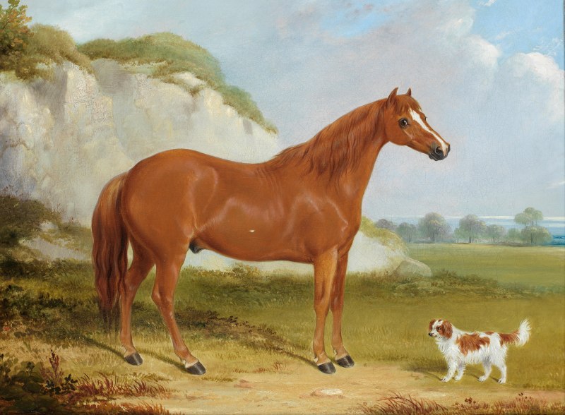 William Barrand художник
