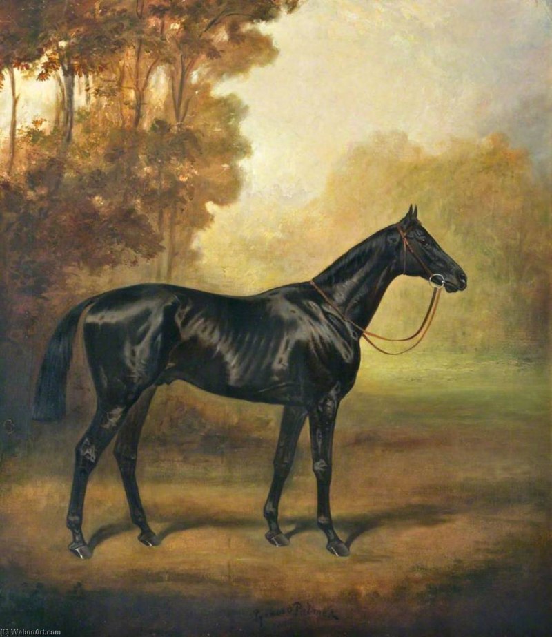 Живопись лошади Edmund Charles