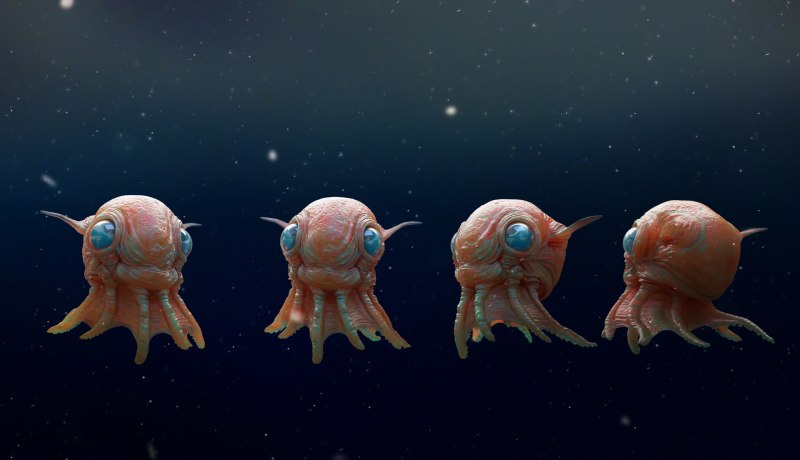 Глубоководные Осьминоги Cirrina