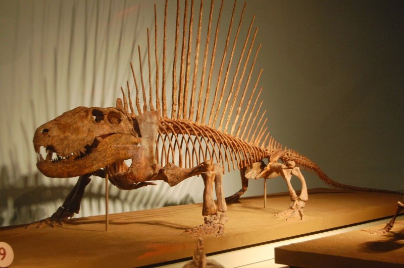 Schleich Диметродон 15011