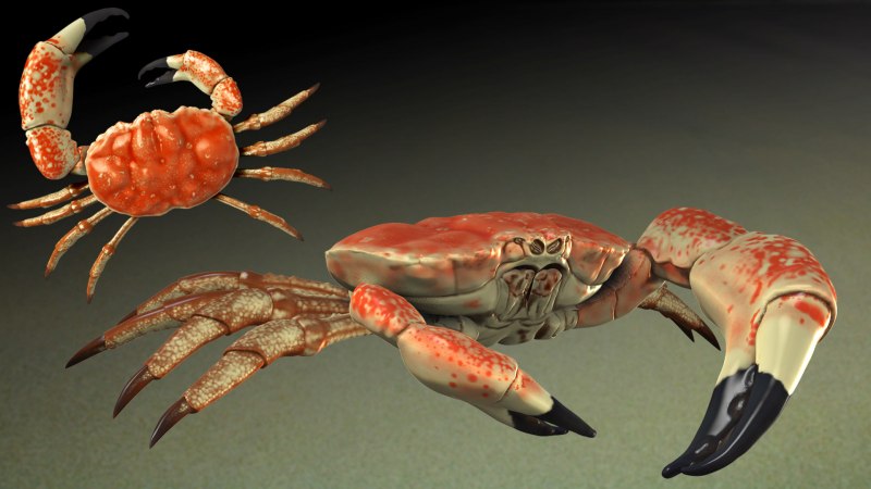 Крабы Macrocheira kaempferi