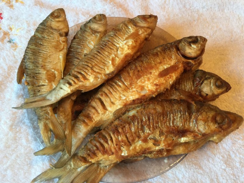 Белуга в Каспийском море