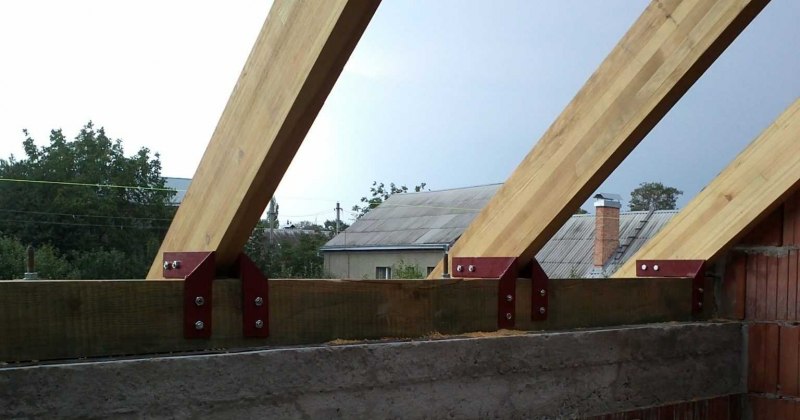 Утка кряква яйца