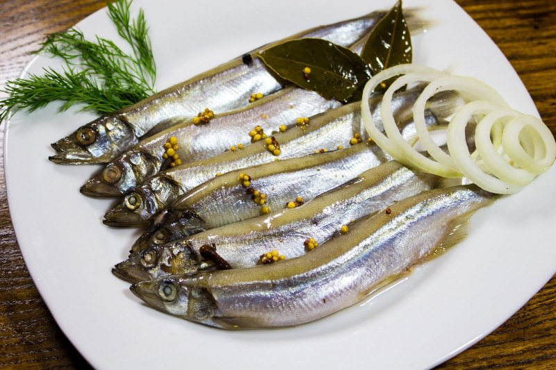 Европейский анчоус Хамса