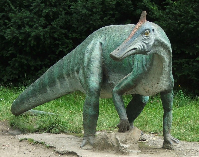 Зауролоф динозавр (61 фото)