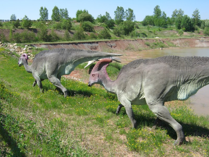Parasaurolophus Herd