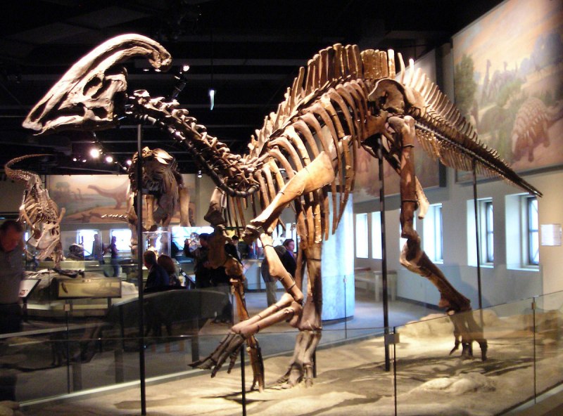 Corythosaurus динозавр