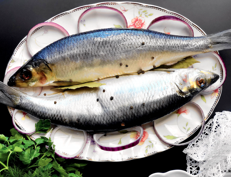 Иваси, скумбрия,сельдь