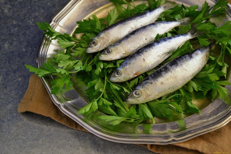 Сардина (Иваси)
