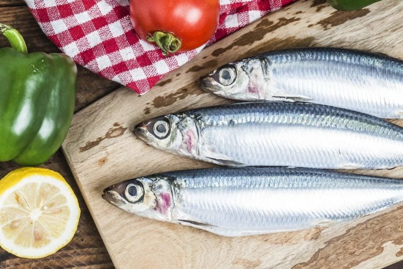 Рыба сельдь Иваси