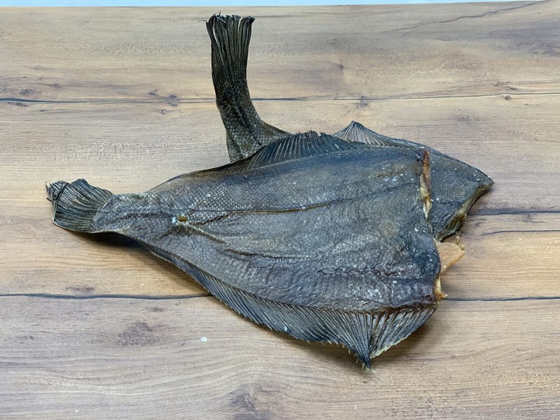 Морская камбала