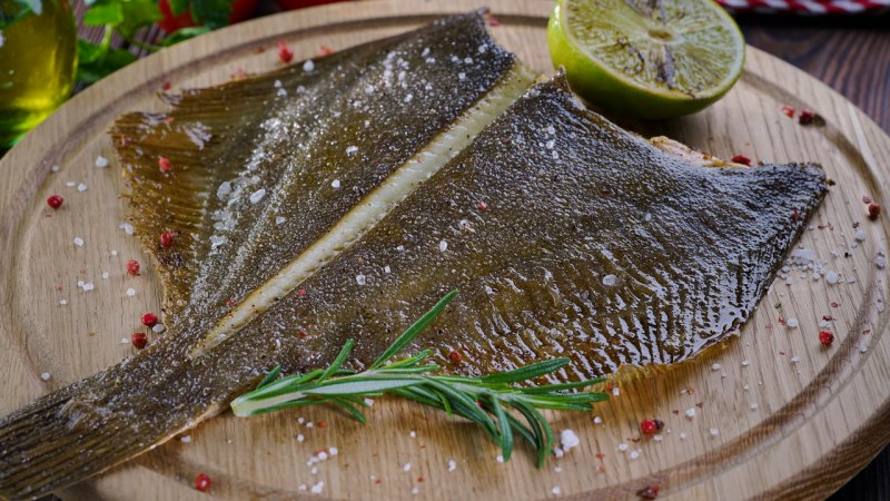 Морская рыба камбала