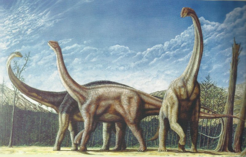Mamenchisaurus Sinocanadorum