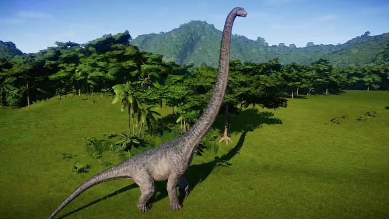 Mamenchisaurus Sinocanadorum
