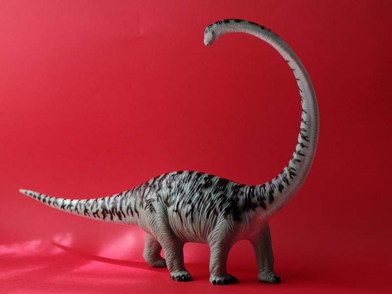 Mamenchisaurus hochuanensis