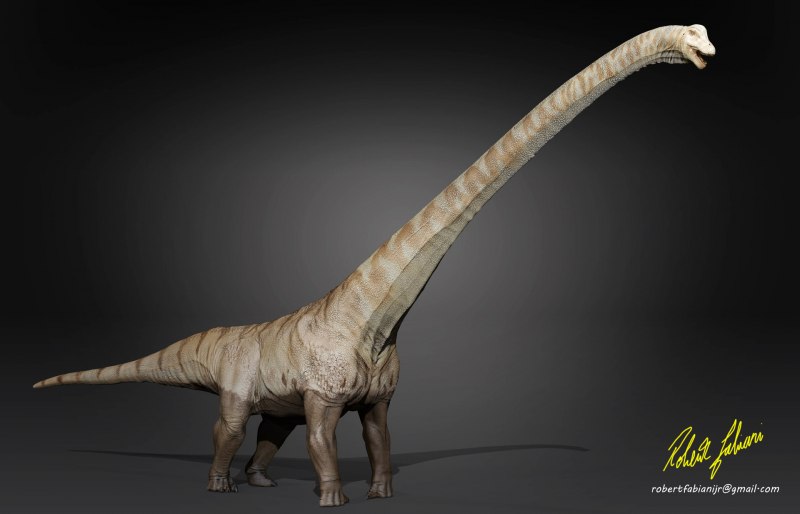 Mamenchisaurus hochuanensis