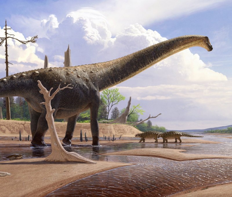 Mamenchisaurus Sinocanadorum