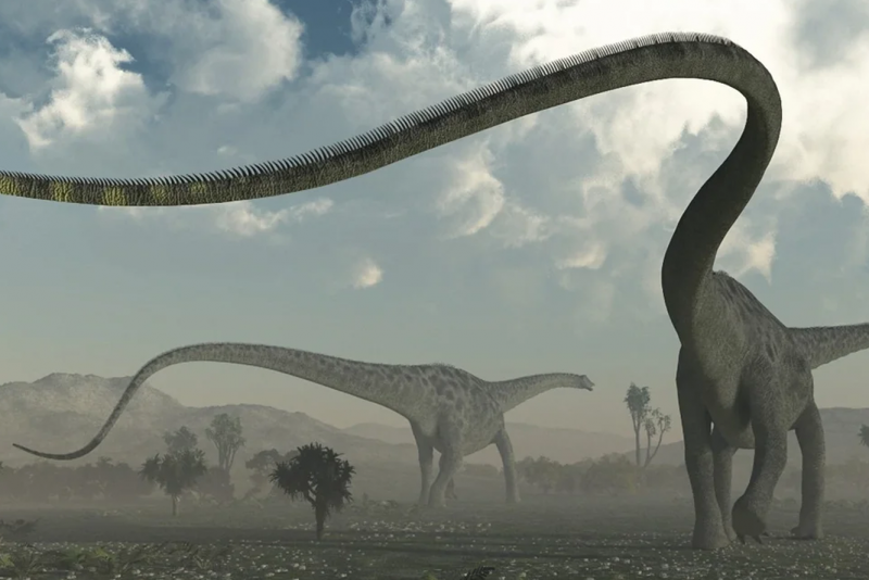 Rebbachisaurus garasbae