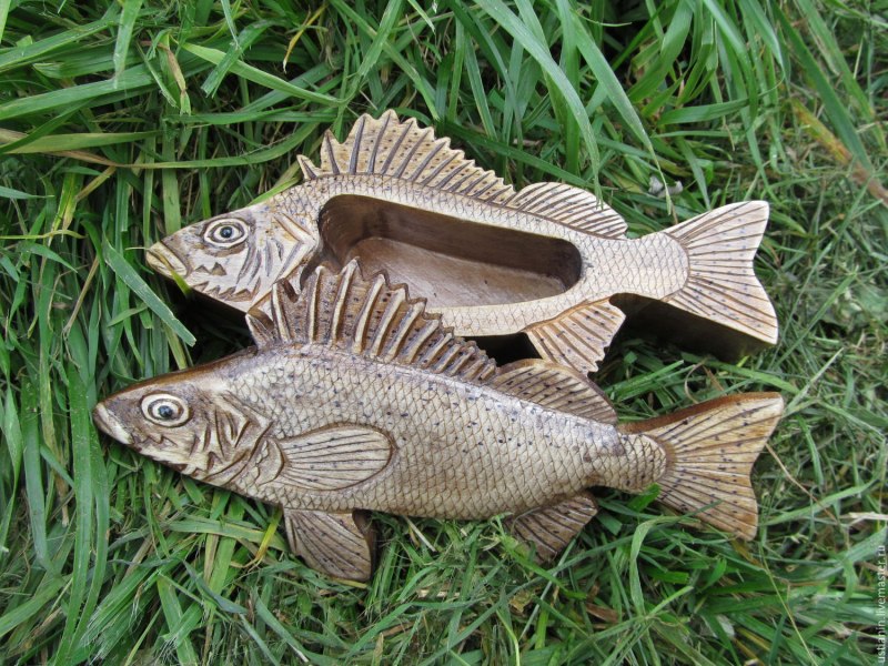 Gymnocephalus cernuus