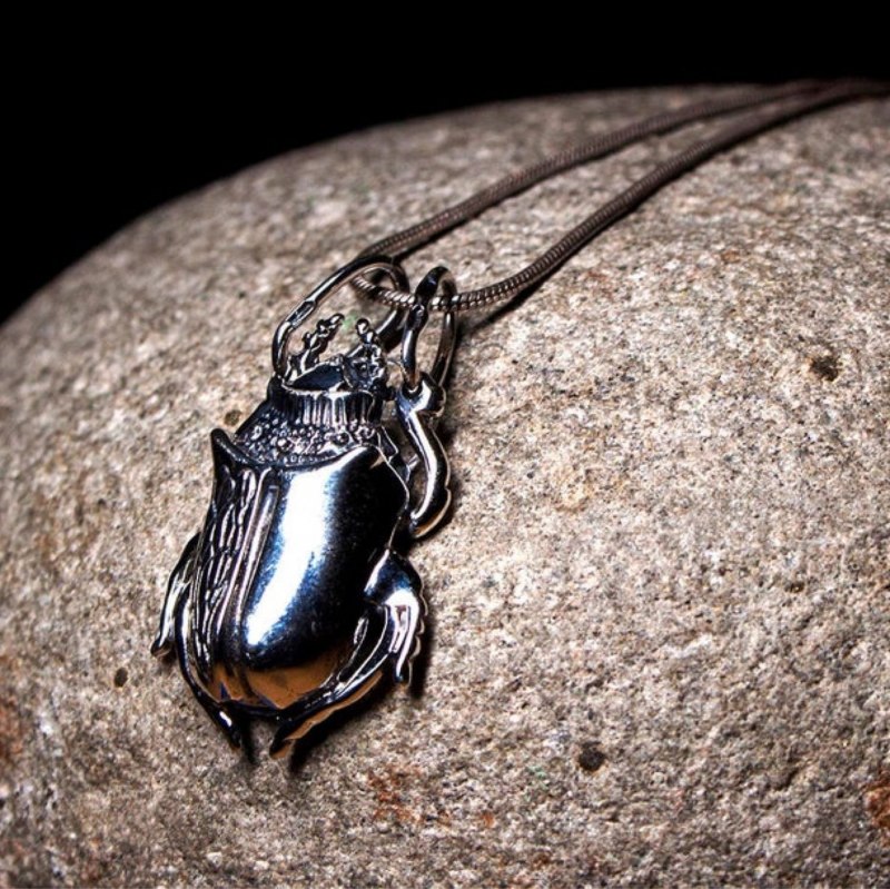 Tanzania Beetle