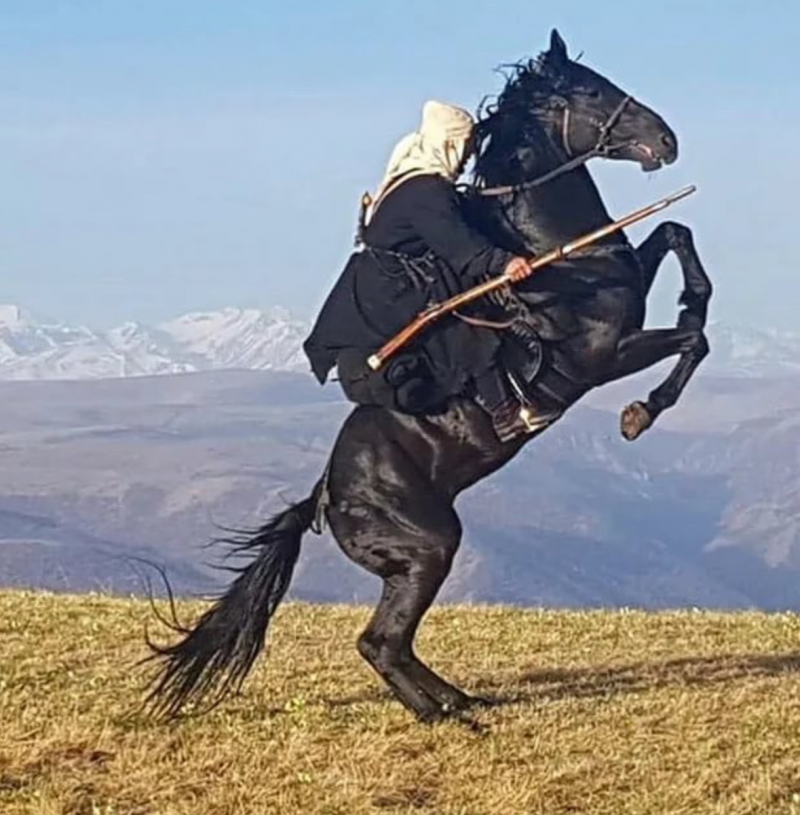 Карачаевская лошадь гнедая
