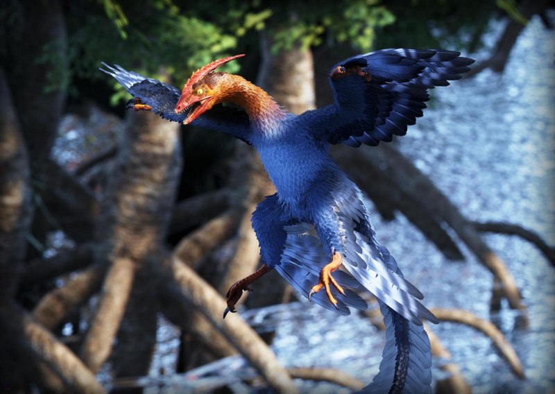 Microraptor zhaoianus