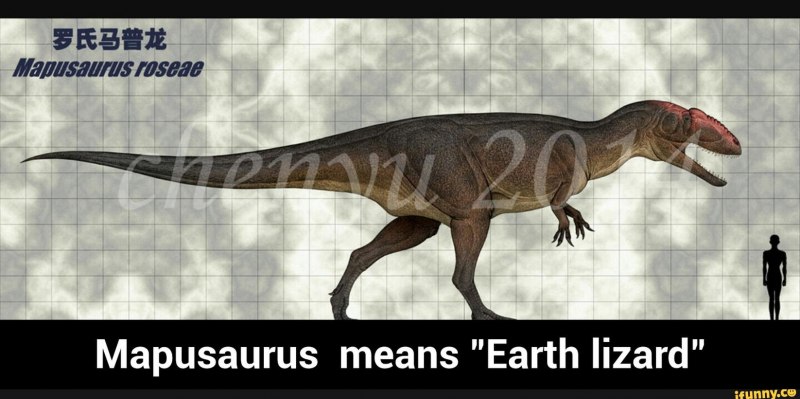 Giganotosaurus carolinii