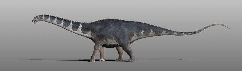 Mapusaurus roseae Skull