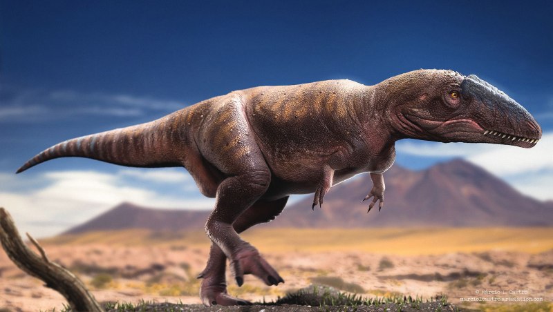 Mapusaurus roseae