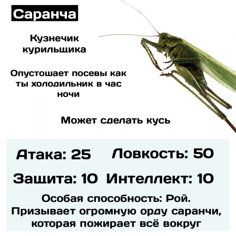 Уэта Прямокрылые