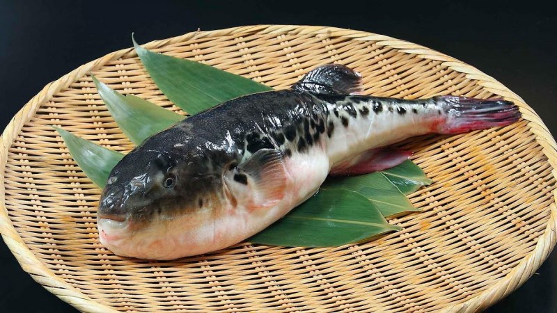 Японская кухня фугу