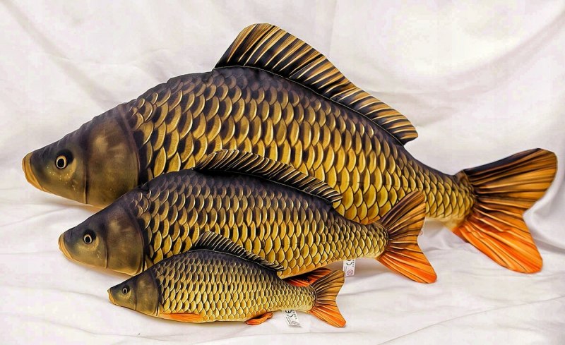 Карп (Cyprinus Carpio)