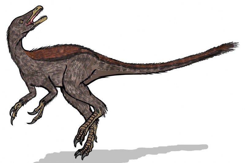 Dilophosaurus силуэт