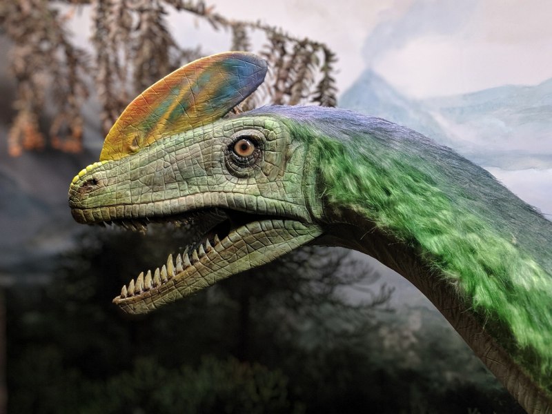 Guanlong динозавр