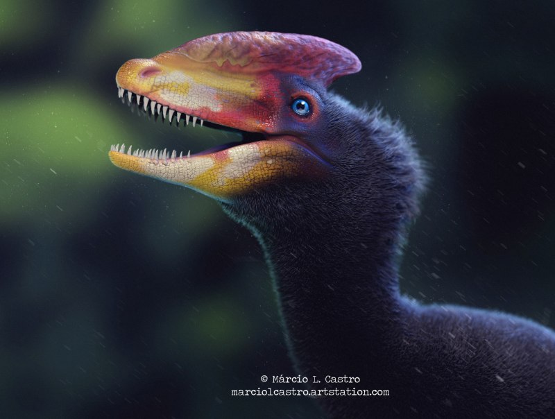 Guanlong wucaii