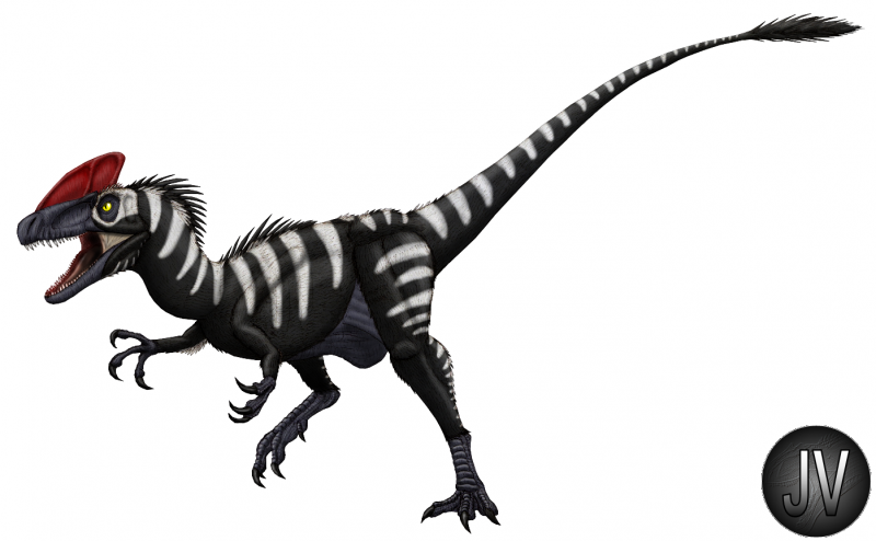 Guanlong wucaii