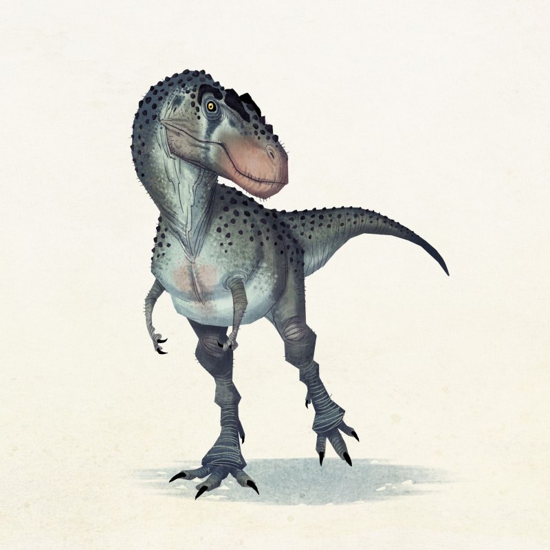 Ornitholestes Hermanni
