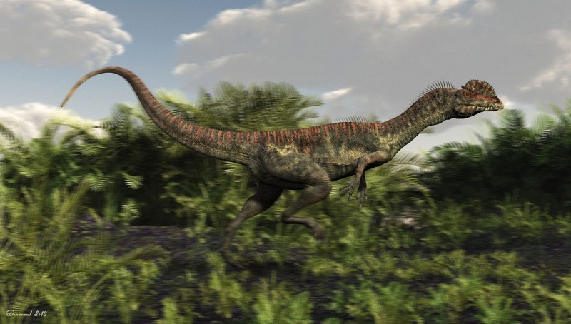 Dinosaurs National Geographic