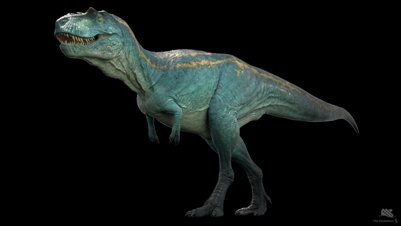 Альбертозавр динозавр (59 фото)