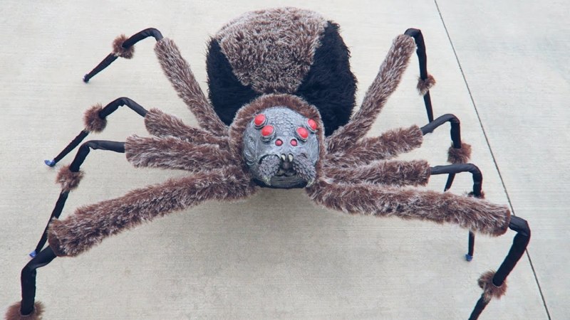 Жук Trachelophorus Giraffa