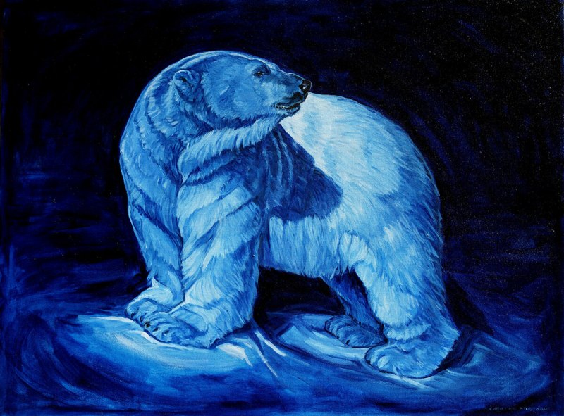 Гималайский медведь