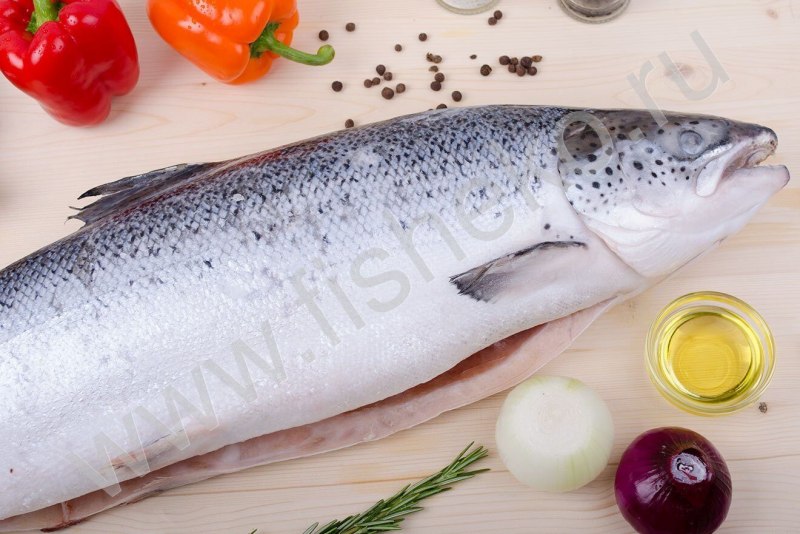Форель Радужная красная