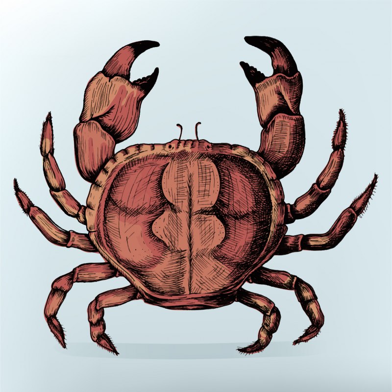 Крабик для рисования