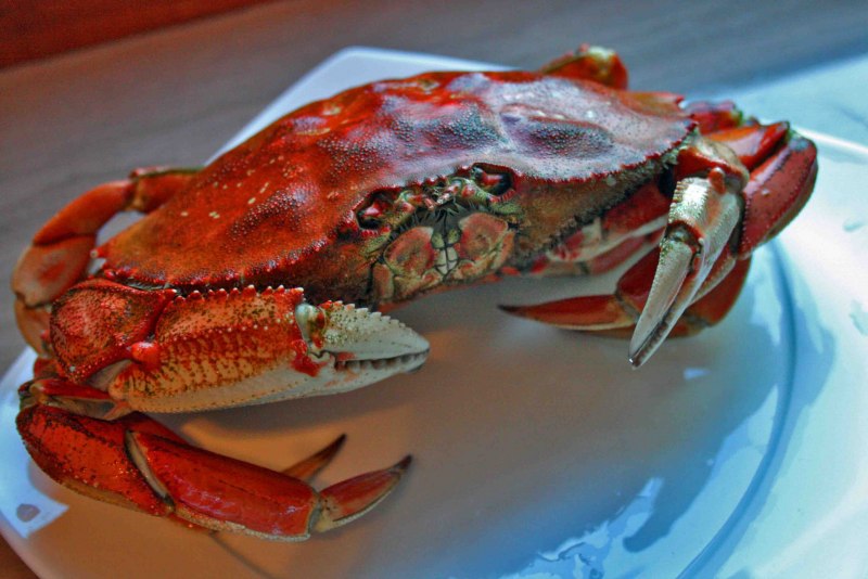 Морда краба