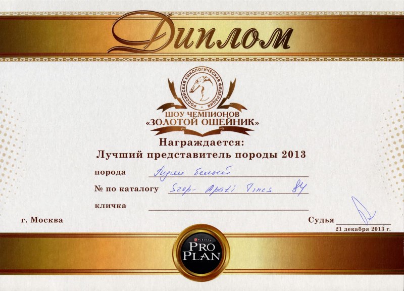 Золотая цепь масоны