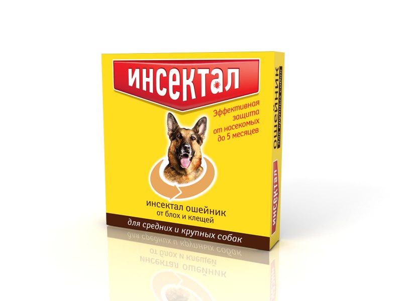 Латунная цепочка для собак