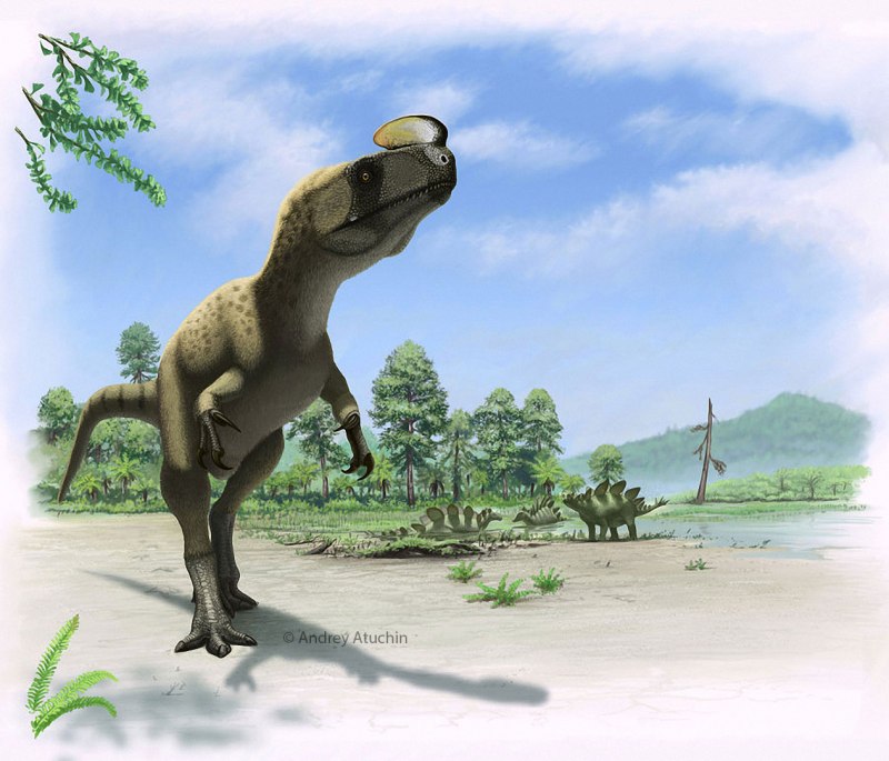 Андрей Атучин † Kileskus aristotocus