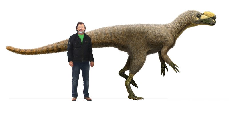 Андрей Атучин † Kileskus aristotocus