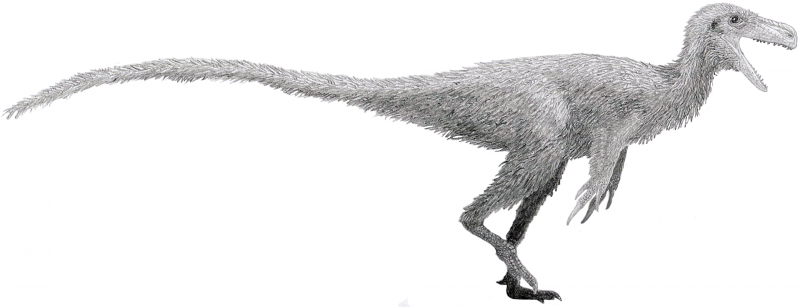 PNSO Pachyrhinosaurus